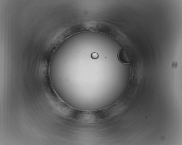 X0000112970702200908271142