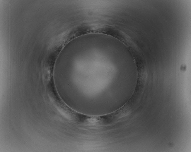 X0000112970703200908271142