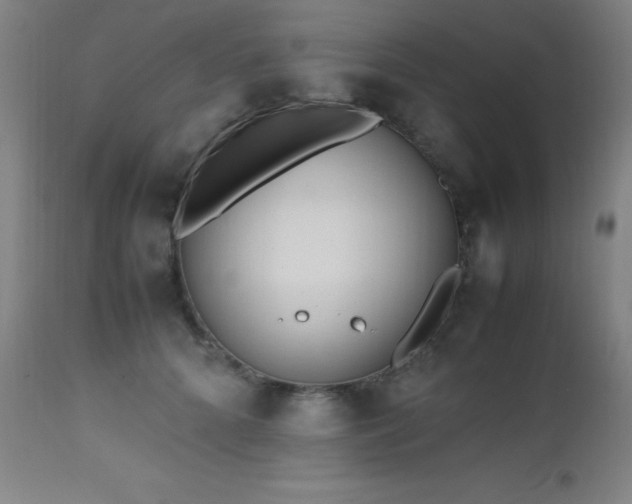 X0000112970704200908271142