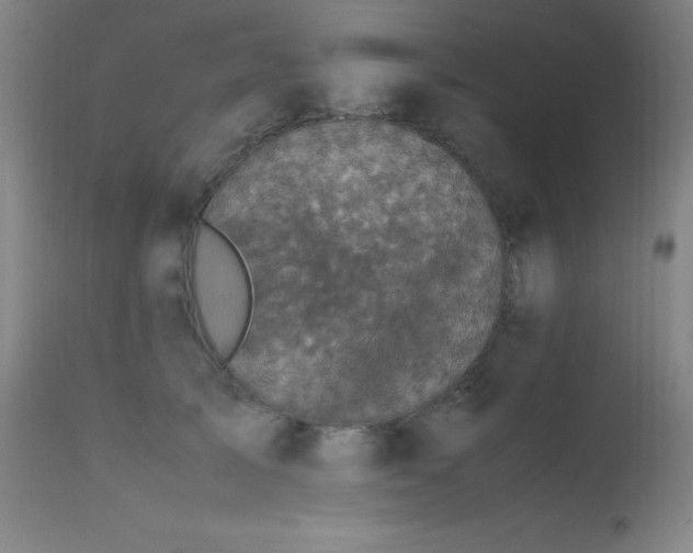 X0000112970705200908271142