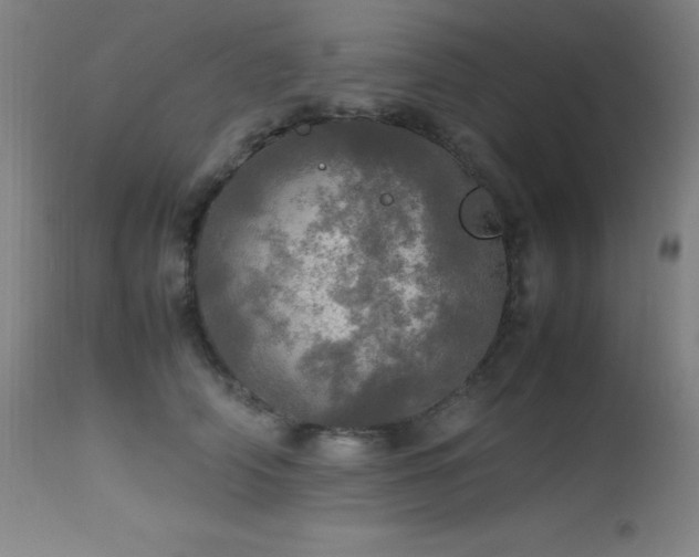 X0000112970706200908271142