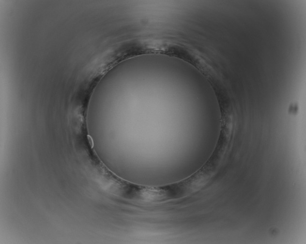 X0000112970707200908271142