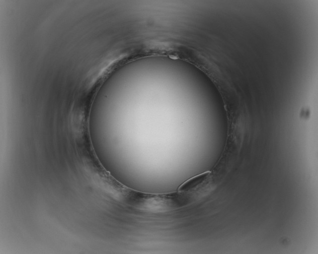 X0000112970708200908271142