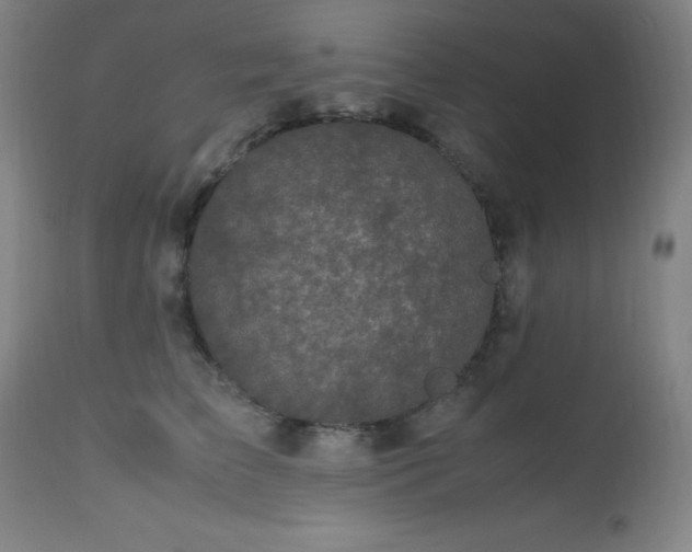 X0000112970709200908271142