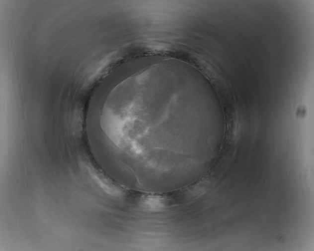 X0000112970710200908271142