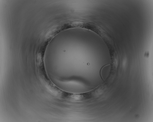 X0000112970711200908271142