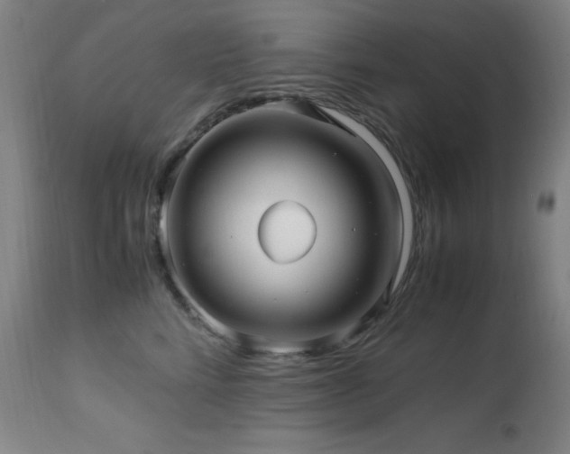 X0000112970712200908271142