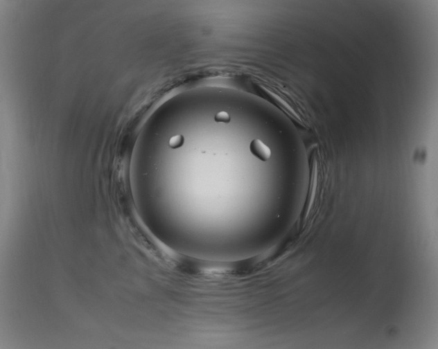 X0000112970713200908271142