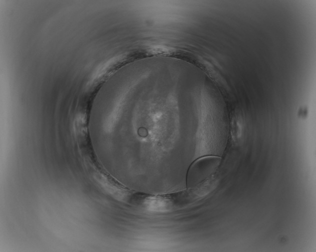 X0000112970714200908271142