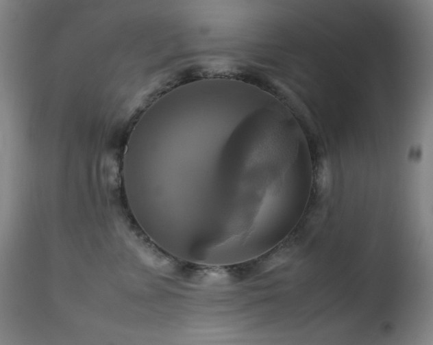 X0000112970715200908271142