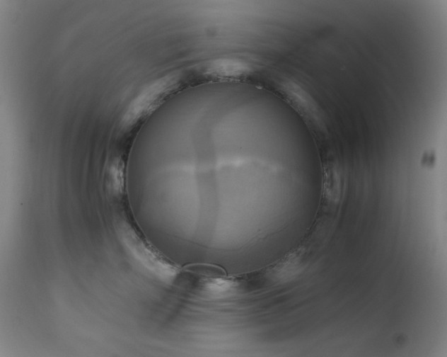 X0000112970718200908271142