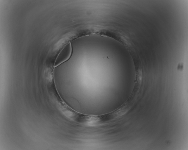 X0000112970719200908271142