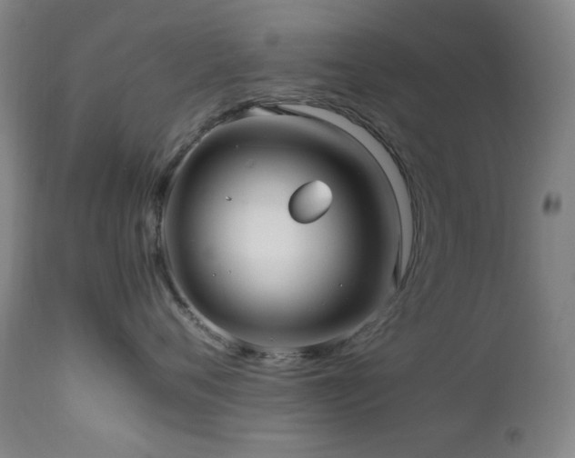 X0000112970720200908271142