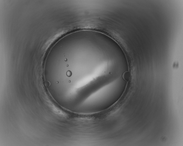 X0000112970721200908271141