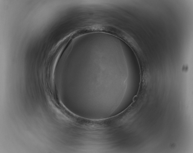 X0000112970722200908271141