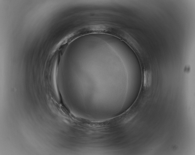 X0000112970723200908271141