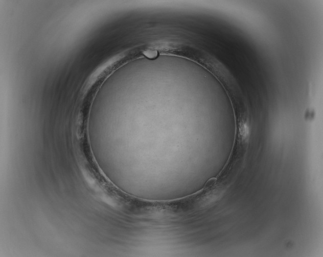 X0000112970724200908271141