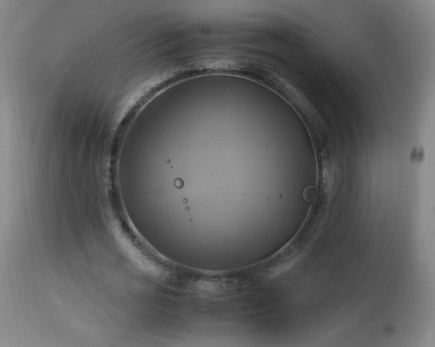 X0000112970725200908271141