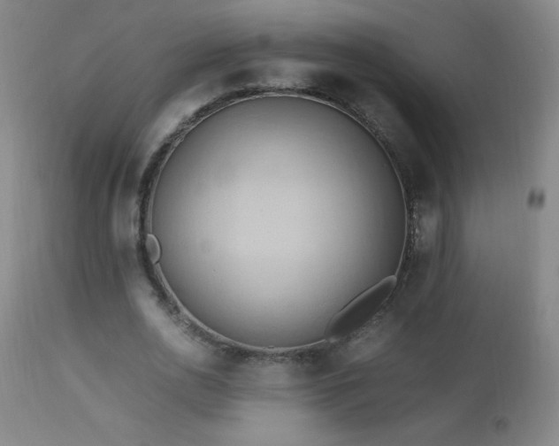 X0000112970726200908271141