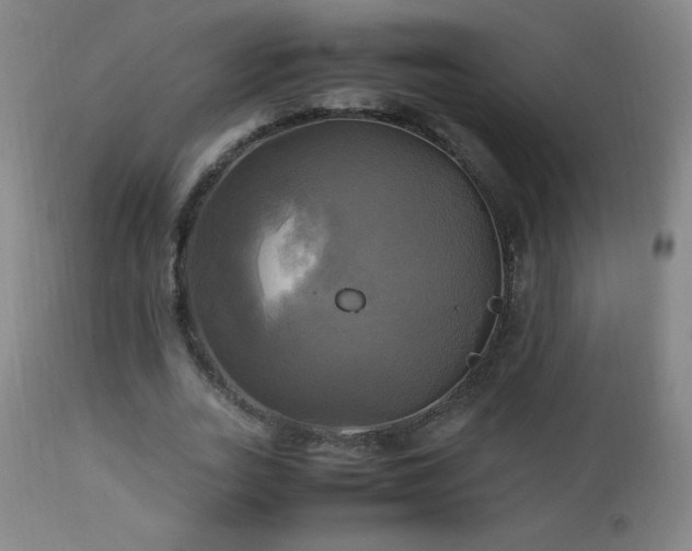 X0000112970727200908271141