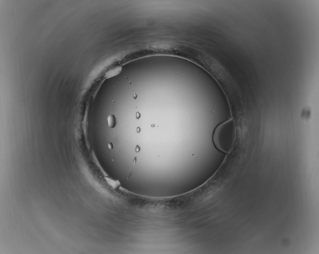 X0000112970728200908271141