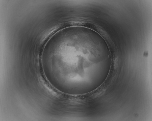 X0000112970729200908271141