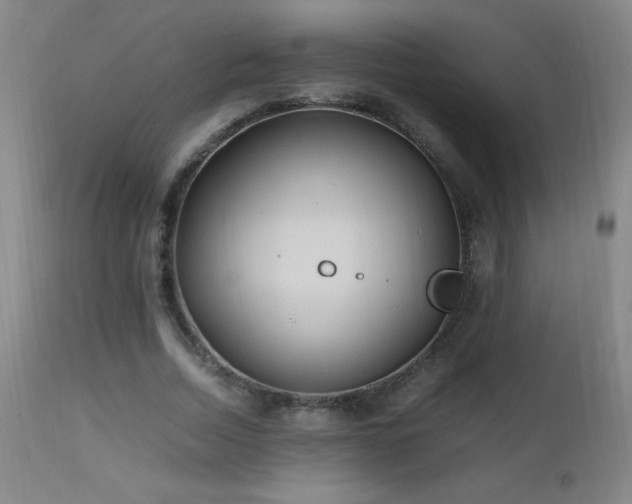 X0000112970730200908271141