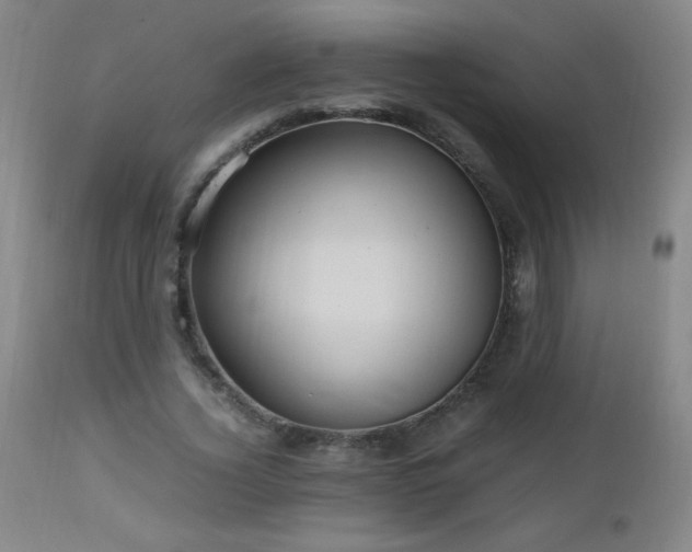 X0000112970732200908271141