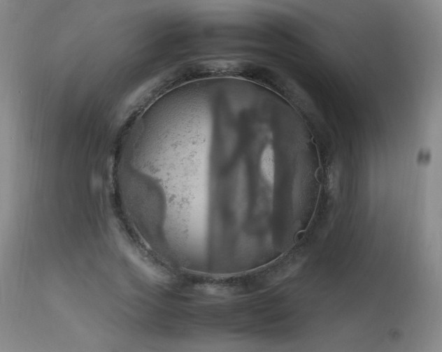 X0000112970733200908271141