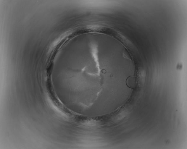 X0000112970734200908271141