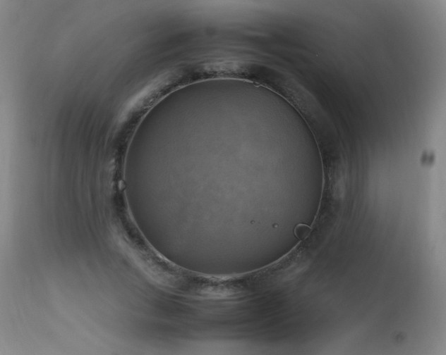 X0000112970735200908271141