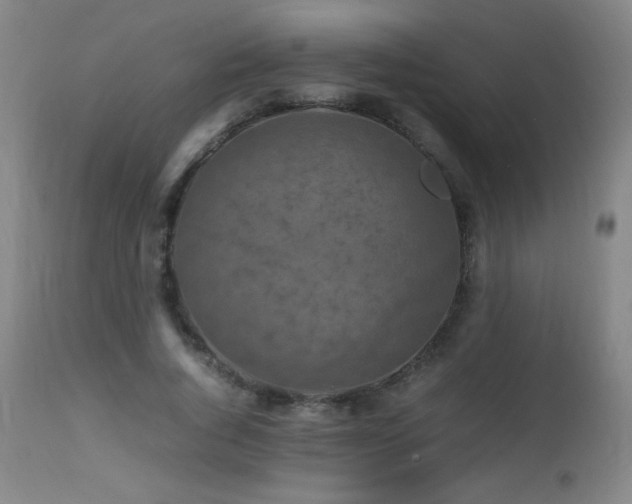 X0000112970736200908271141