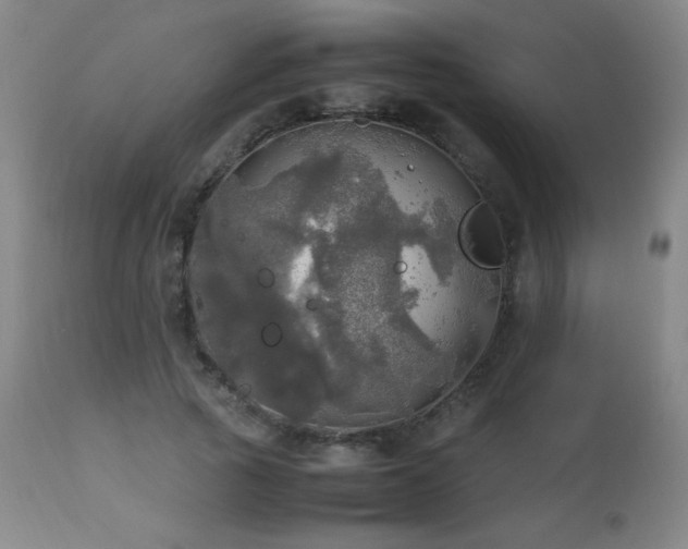 X0000112970737200908271141