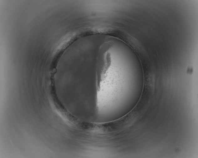 X0000112970738200908271141