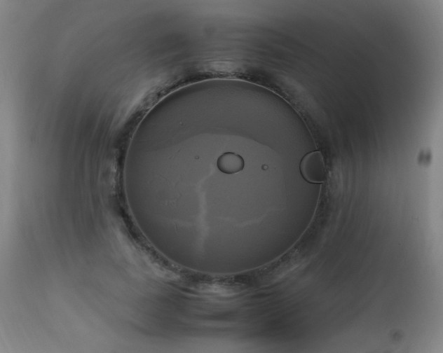 X0000112970739200908271142