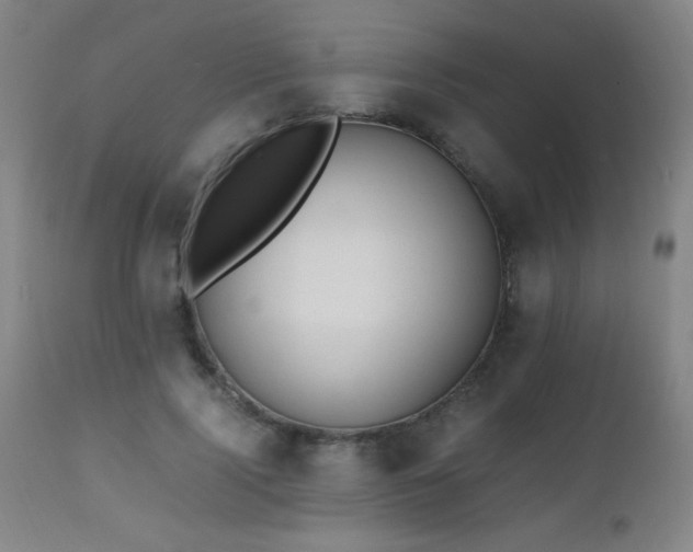 X0000112970740200908271142