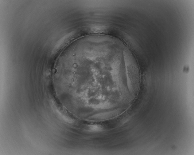 X0000112970741200908271142