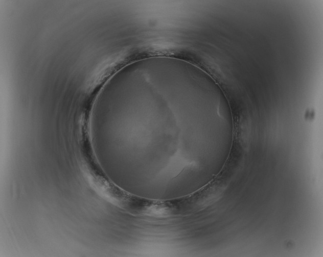 X0000112970742200908271142