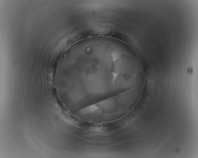 X0000112970745200908271142