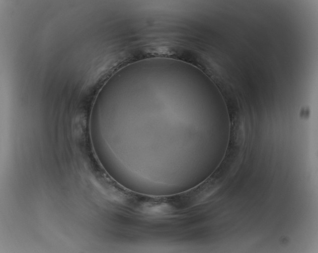 X0000112970747200908271142