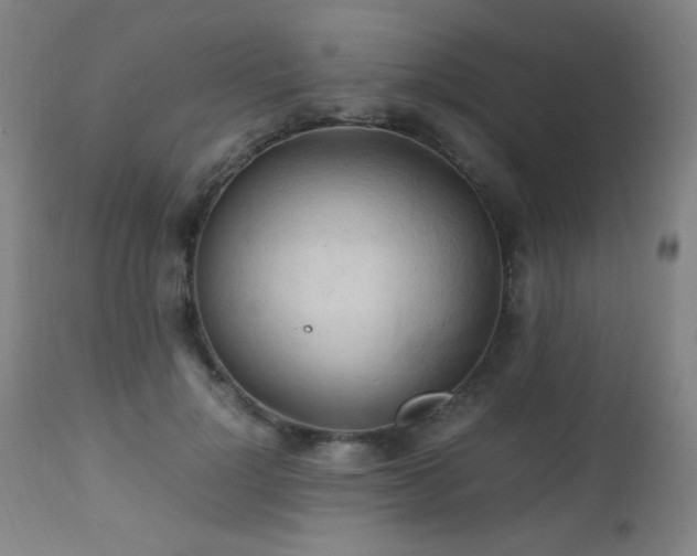 X0000112970748200908271142