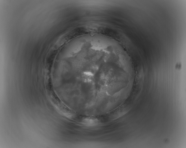 X0000112970749200908271142