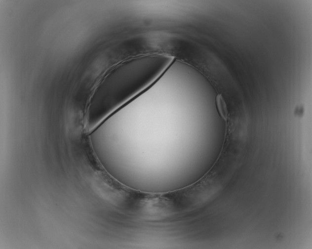 X0000112970752200908271142