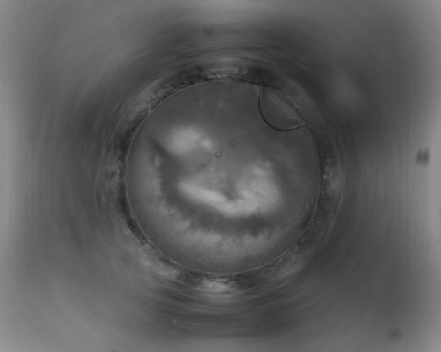 X0000112970753200908271142