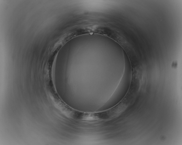 X0000112970754200908271142