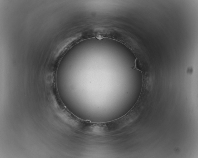 X0000112970756200908271142