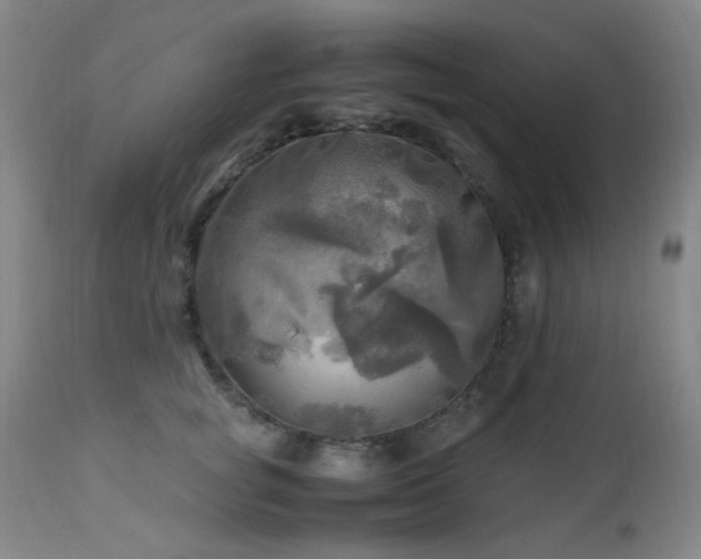 X0000112970757200908271142