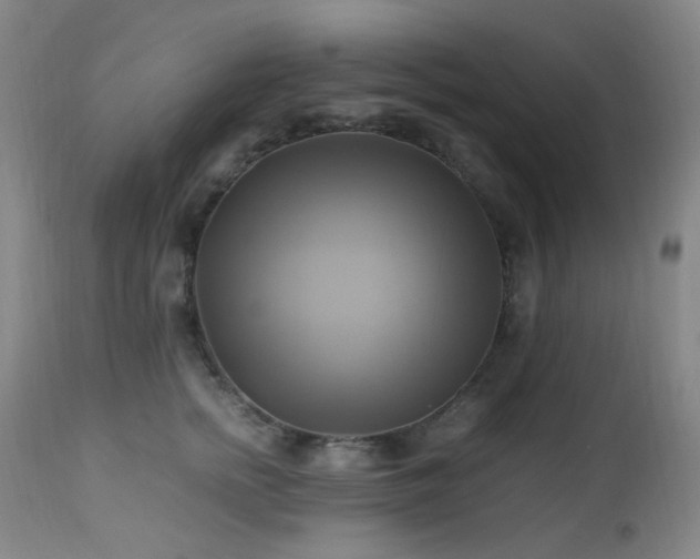 X0000112970758200908271142