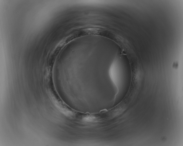 X0000112970759200908271142