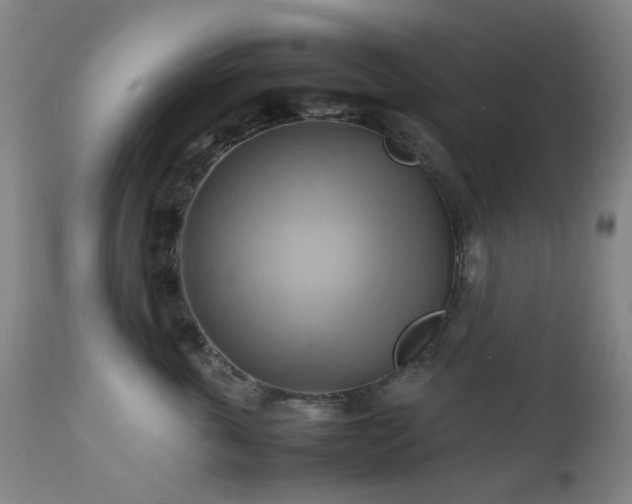 X0000112970763200908271142